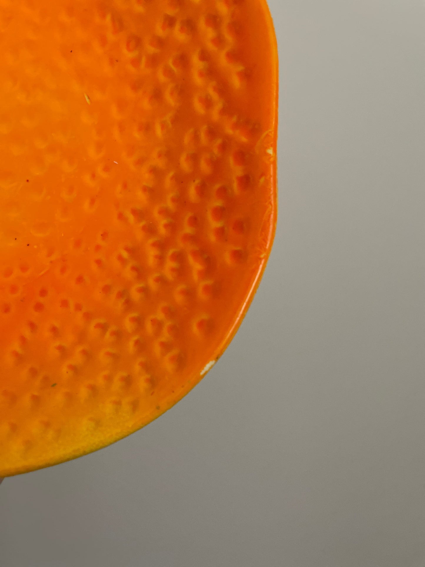 Assiette fruit vintage Ohmabergere
