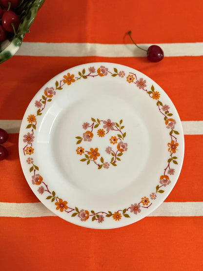 Set de 6 assiettes à dessert Arcopal Ohmabergere
