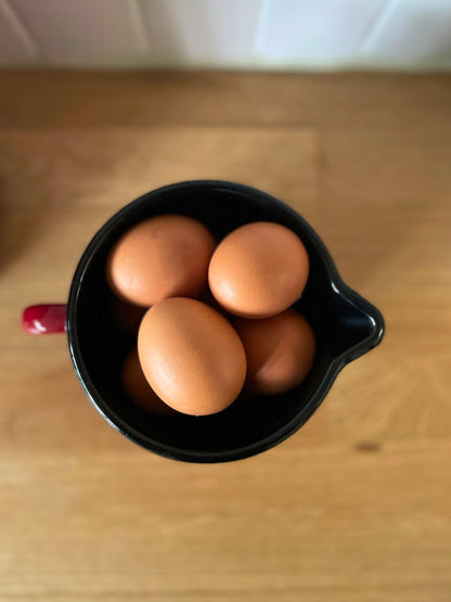 Pichet tôle émaillée rouge Ohmabergere