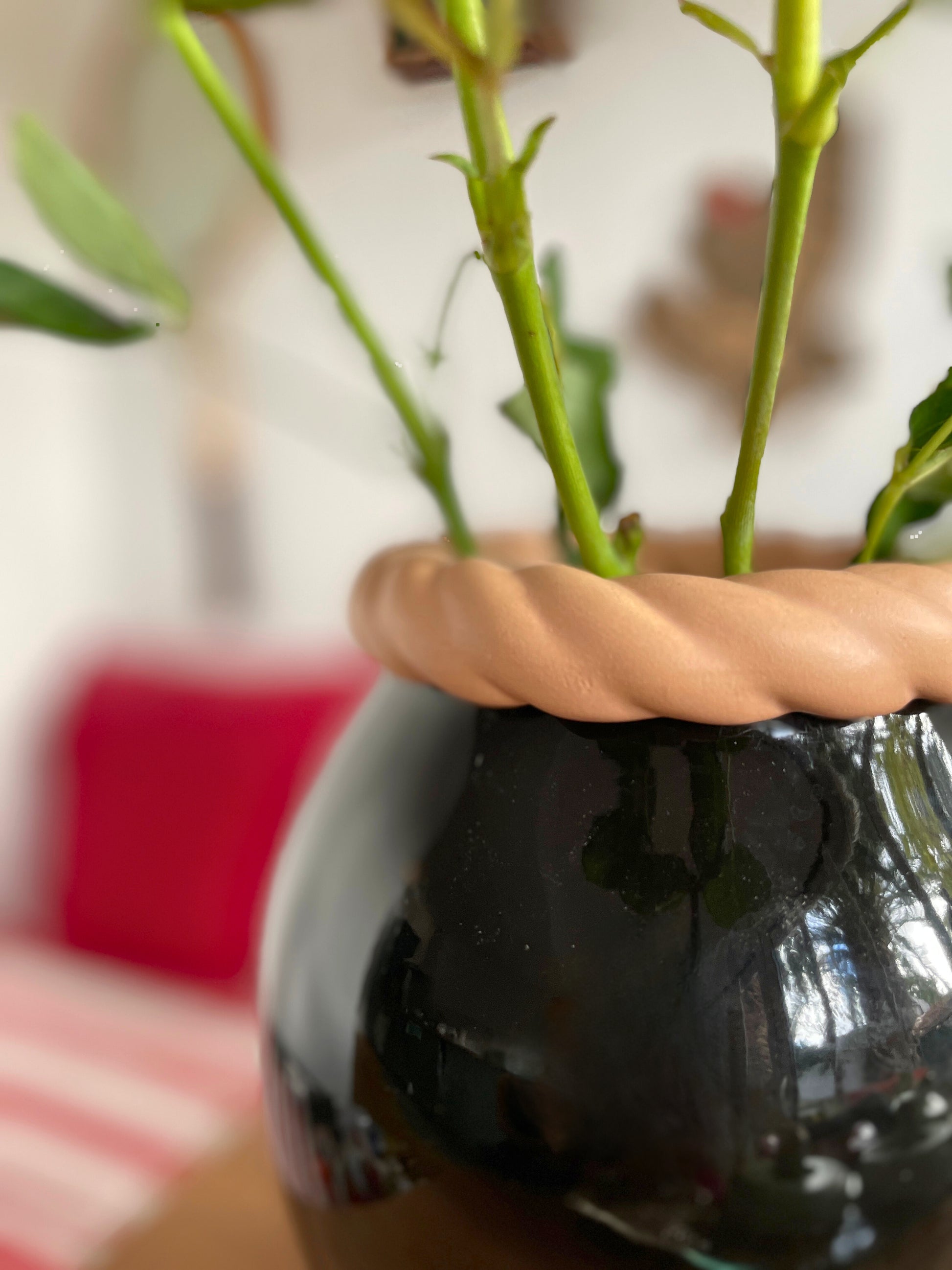 Vase noir et col tressé Ohmabergere